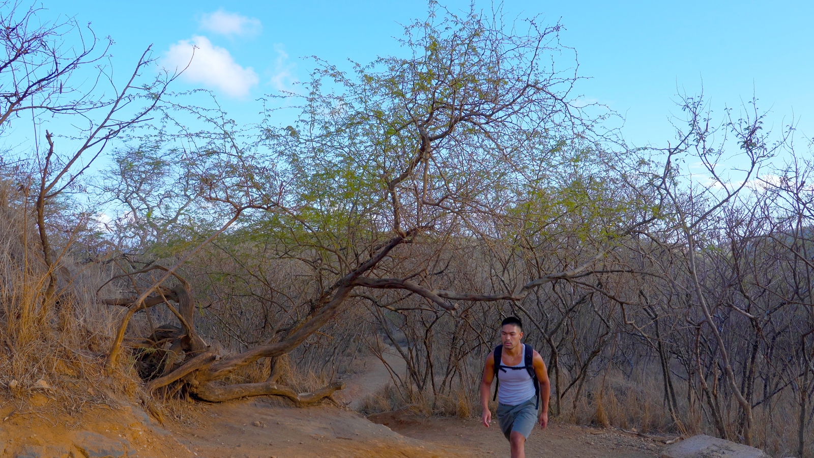 Koko Crater Railway Trailhead