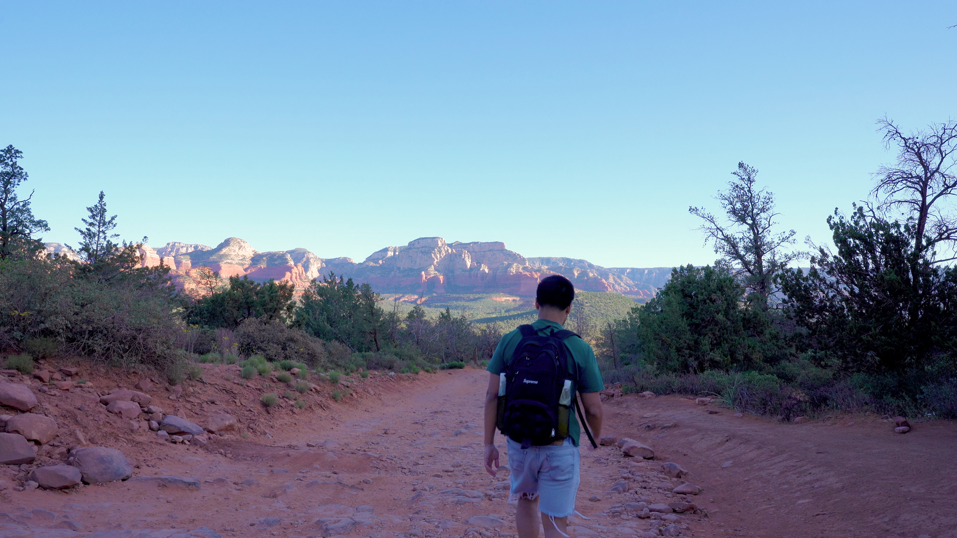 Dry Creek Road Landscape View